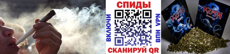где купить   Северодвинск  БУТИРАТ буратино 