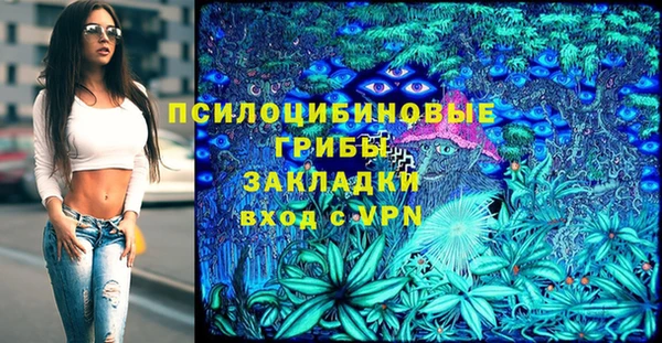 хмурый Михайлов