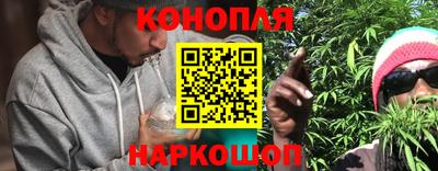 гидра Кандалакша