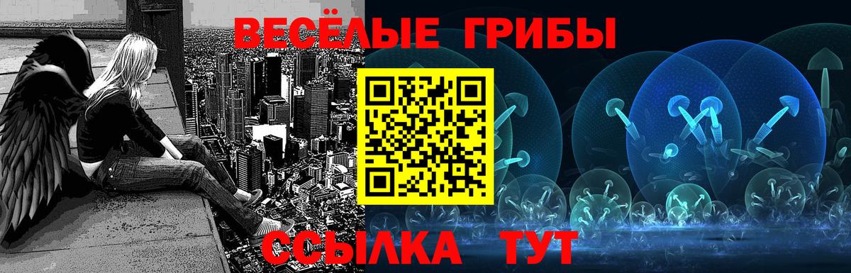 Северодвинск  Псилоцибиновые грибы GOLDEN TEACHER  Вход с VPN 